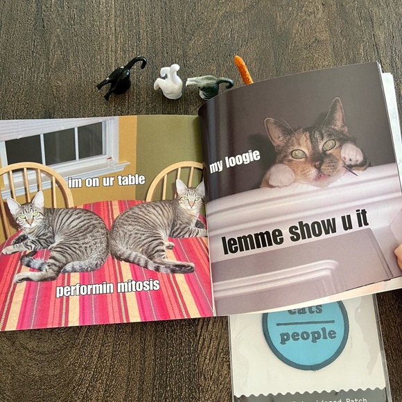 Cat lovers gift pack - book magnets and iron on patch - Picture 4 of 7